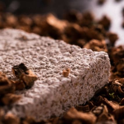 Close-up of Diathonite with a blurred natural background
