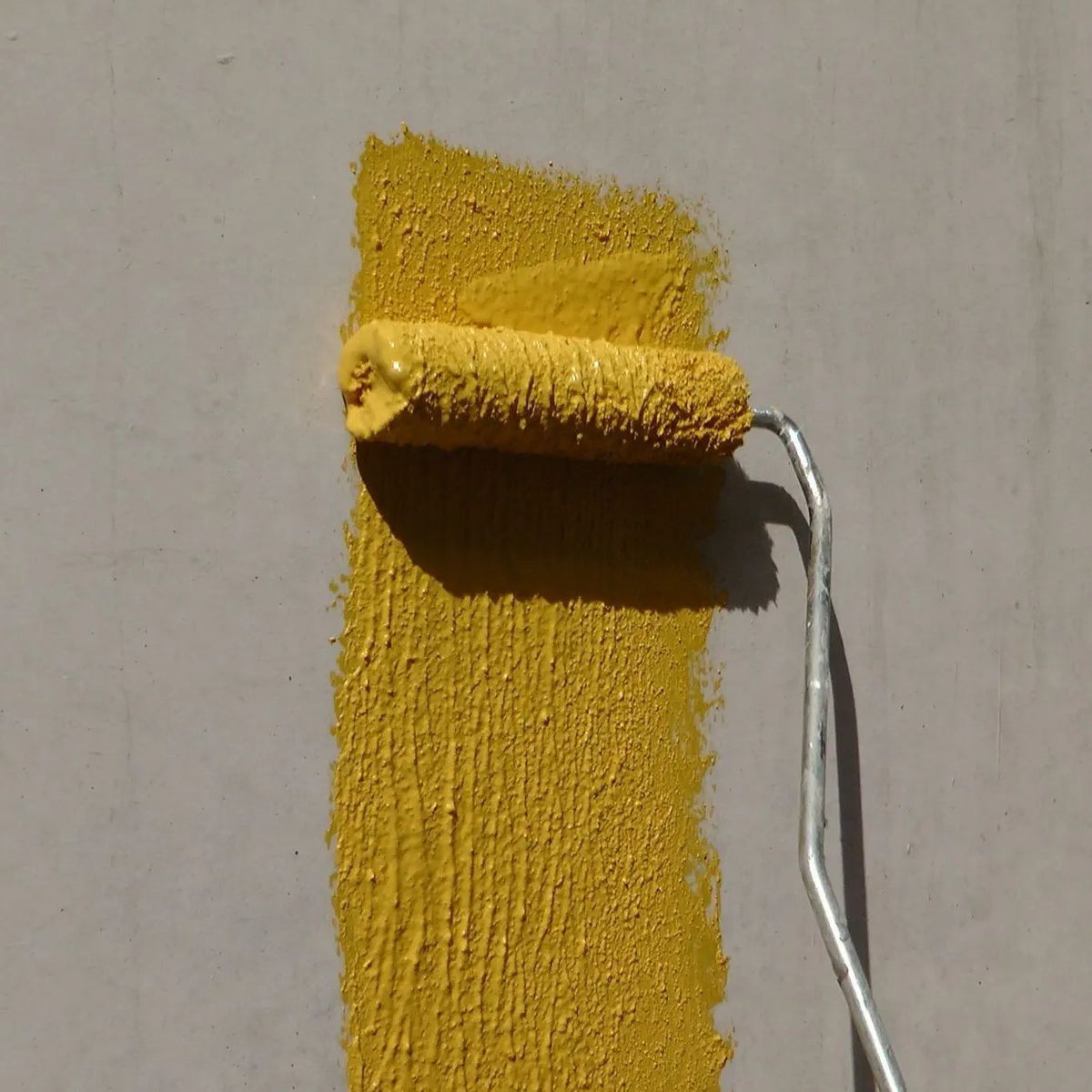 Roller applying yellow Plaster Paint