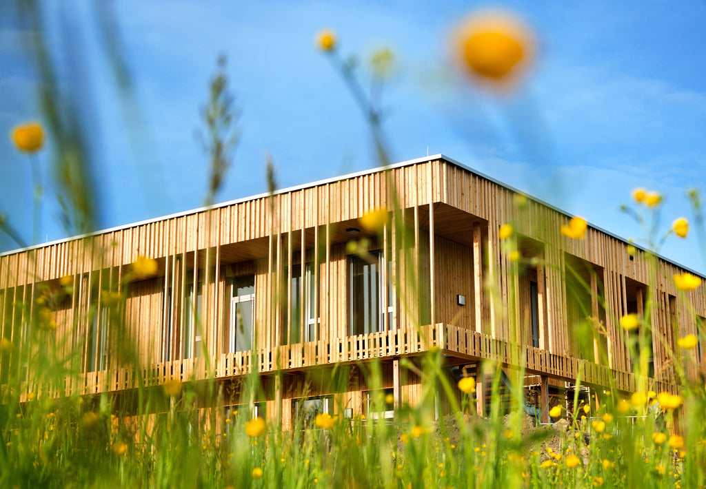 Building Green: Why Contractors Are Choosing Sustainable Materials