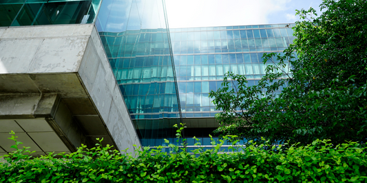 modern building with greenery surrounding