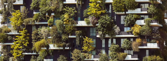 5 Green Space Trends Shaping the Future of Urban Design in 2024