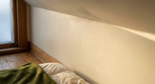 Condensation beading on a bedroom wall beside a frosted window on a winter morning