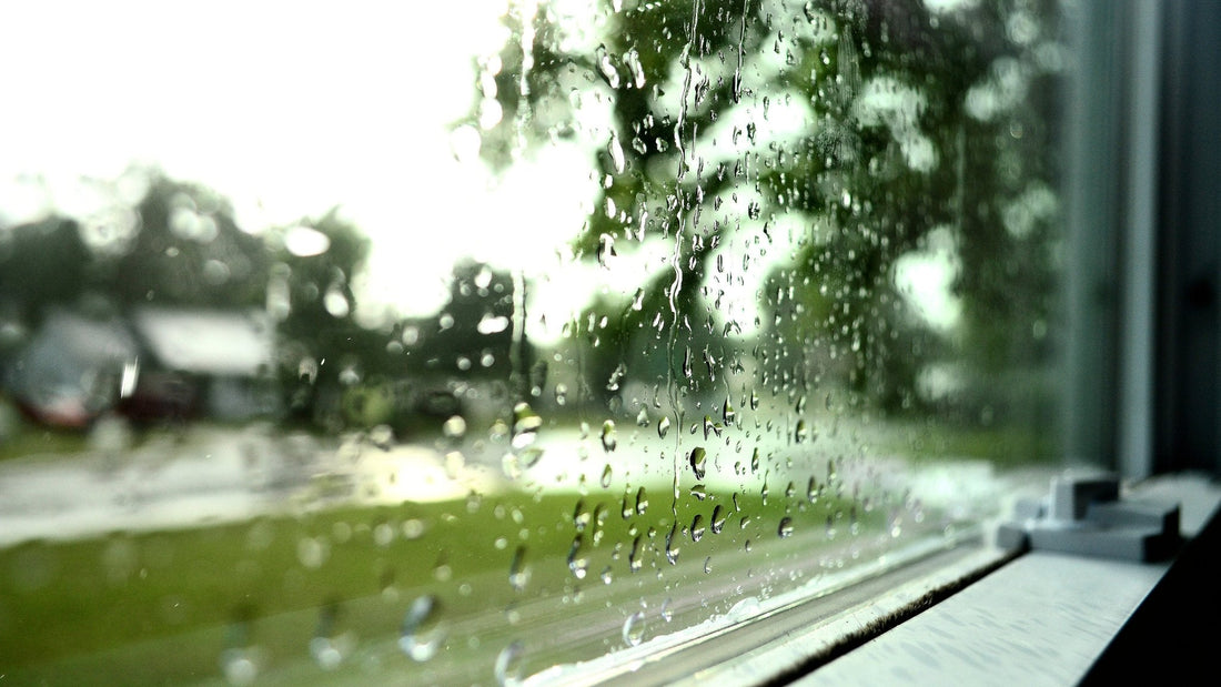 Foundation Waterproofing 101: Liquid Waterproofing for Preventing Cracks, Leaks, and Structural Damage - Eco-Tech Building Solutions
