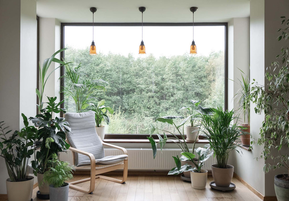 Save money with the Canadian Greener Homes Initiative - Eco-Tech Building Solutions