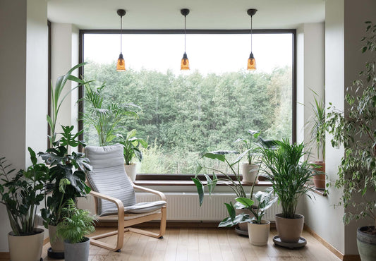Save money with the Canadian Greener Homes Initiative - Eco-Tech Building Solutions