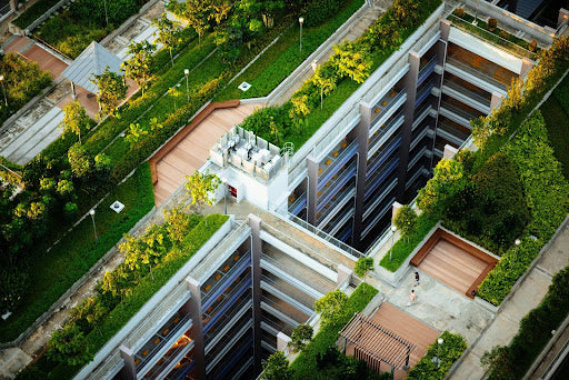 An aerial perspective of a commercial building with a vibrant living green roof.