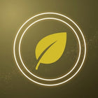 Green Rebates
