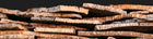 About Cork